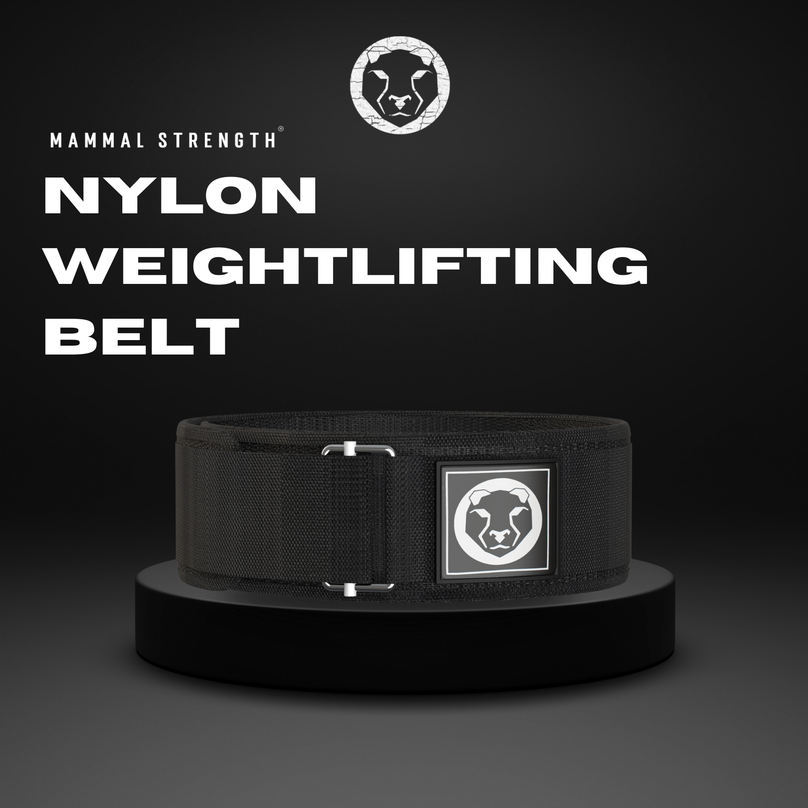 Nylon Weightlifting Belt "4