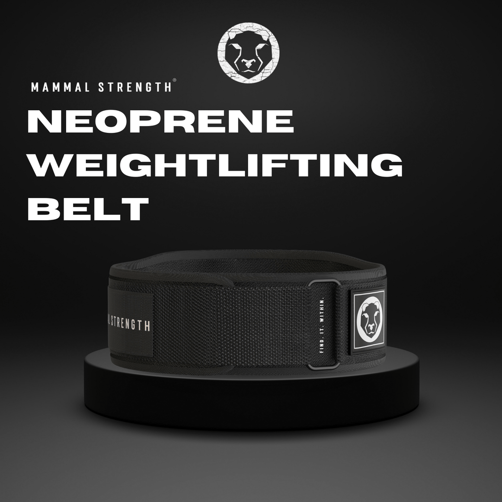 Neoprene Weightlifting Belt "5