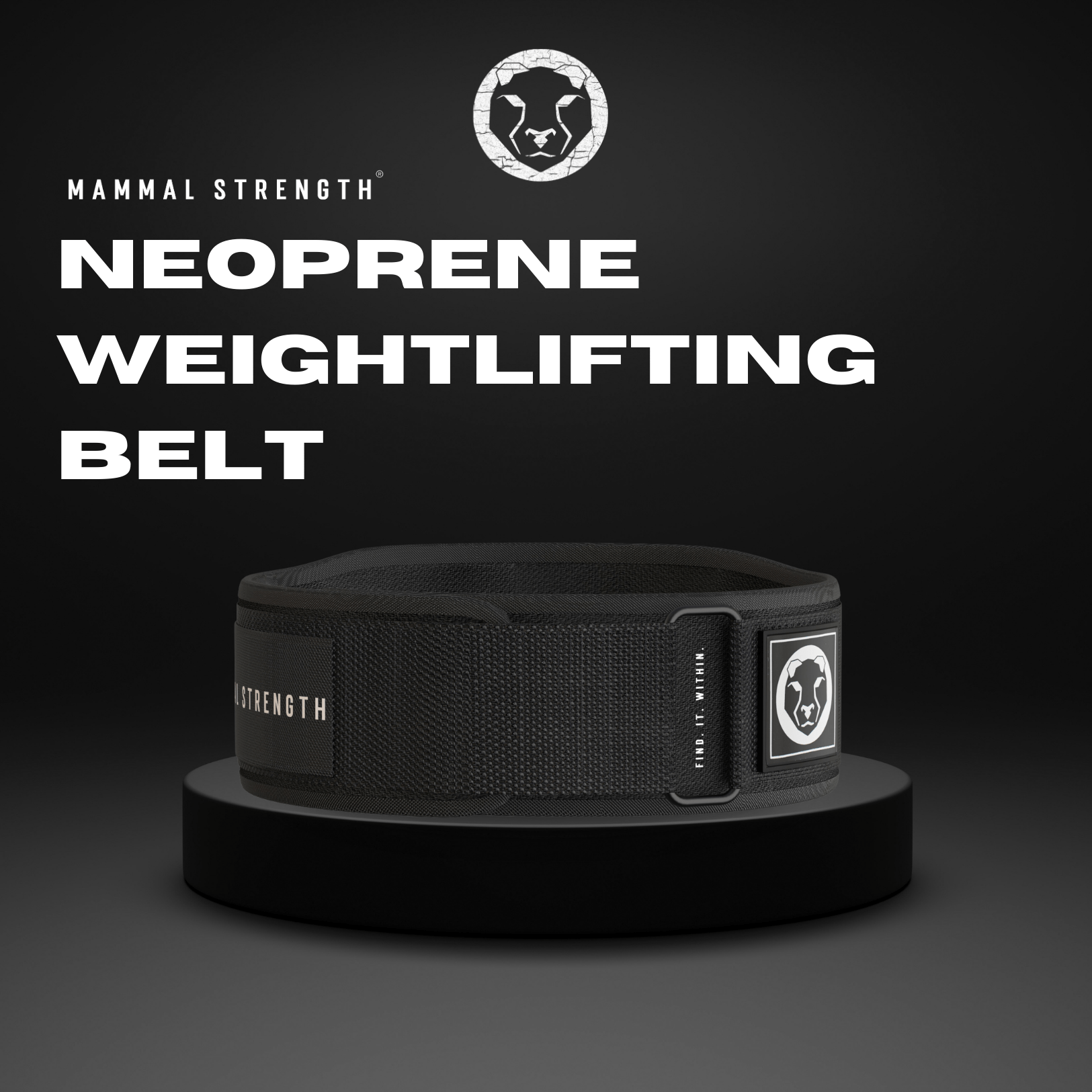 Neoprene Weightlifting Belt "5
